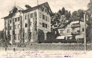 Alpenheim Schreiber Sanatorium