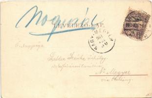 1901 Budapest VIII. Nemzeti színház és Kossuth Lajos utca, Dober Ede üzlete (EK)