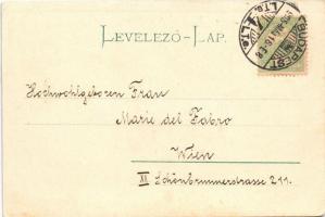 1905 Budapest I. Látkép a Királyi palotától és Lánchíd (EK)