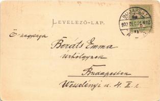 1902 Budapest XIV. Városligeti tó, Vajdahunyad vára. Ganz Antal 54. (kopott sarkak / worn corners)