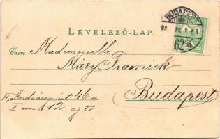 Budapest XIII. Margitszigeti vízesés és gyógyforrás. Ganz Antal 104