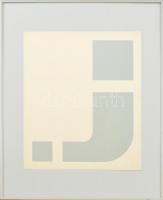 Edgar Gutbub (1940-2017): Konstruktív kompozíció, 1978. Szitanyomat, papír. Jelzés nélkül. Hátoldalán feliratozott. Plexiüvegezett keretben. 30,5x25 cm