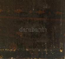 Olvashatatlan (A J?) jelzéssel, feltehetően XVIII. sz. német v. németalföldi festő alkotása: Hölgy p...