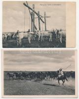 Hortobágy - 2 db régi képeslap / 2 pre-1945 postcards