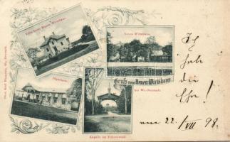 1898 Neuen Wirishaus Hunter-house