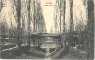 1906 Buziás, Buzias; Sóhaj fasor. Francz Testvérek kiadása / promenade, alley (r)