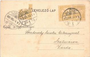 1902 Budapest XV. Rákospalota-Újpest, Palota-Újpest; vasútállomás. Schőn Bernát kiadása (fl)