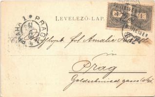 1900 A m. kir. budapesti I-ső honvéd gyalogezred zenekara 1899. december havában. D. Bachó István ka...