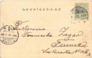 1905 Hortobágy, sertésnyáj, magyar folklór (EK)