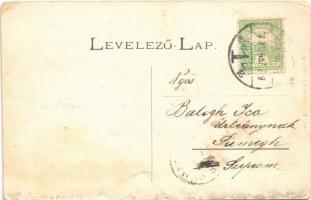 1903 Kamarás, Kamaráserdő (Horgos); Tó részlet, Pálfy villa, Fenyves-sziget. Baranyai Gy. amatőr fén...