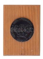 1985. "Temesvár Tata Esztergom Sopron" Br emlékérem fa talapzaton a 100 éves a Soproni Erdészeti Technikum emlékére (70mm/113x153mm) T:2