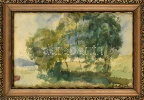 Perlrott Csaba jelzéssel: Zöldellő táj. Akvarell, papír. Üvegezett, dekoratív fa keretben. 23,5x38 cm
