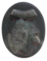 1993. "Országos Erdészeti Egyesület vándorgyűlés Kaposvár, 1993" műanyag plakett (80x100mm) T:2