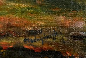 Mednyánszky jelzéssel: Őszi erdő. Olaj, vászon. Dekoratív, kissé sérült fa keretben. 37,5x57 cm