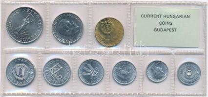 1973. 2f-10Ft (9xklf) érmés forgalmi sor fóliatokban T:1 patina Adamo FO6