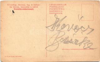 Idill a hegytetőn. Oroszlán sósborszesz reklám. A Képes Újság felvételei / WWI Austro-Hungarian K.u....