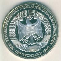 NSZK 1990. "Német egység-német valuta, gazdaság, szociálunió" Ag emlékérem 35g T:PP Díszdo...
