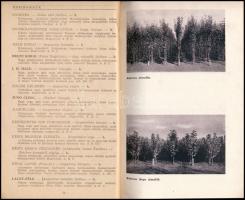 1941 Schrikker Sándor faiskolájának árjegyzéke 1941-42, fekete-fehér fotókkal illusztrált, Bp., Kir....