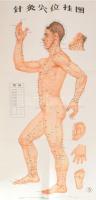 Akupunktúrás pontok az emberi testet, nagyméretű magyarázó plakát, kínai nyelven feliratozva, 108×50 cm