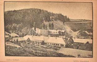 Dr. Szontagh Miklós: Képes kalauz a tátraalji fürdőkbe és a Magas Tátra hegyvidékére. Igló, 1885, Sc...