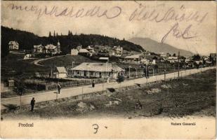 1906 Predeál, Predeal; Vedere Generala / látkép, nyaralók / general view, villas (Rb)