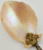 4 db antik kagylóhéj és fém kanál 12-24 cm-ig