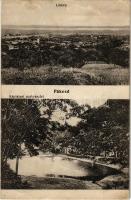 1915 Pákozd, látkép, Káptalani park részlete (fa)