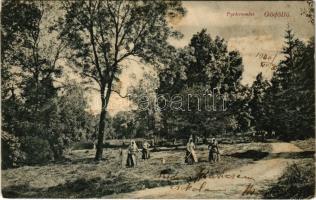 1906 Gödöllő, park részlet. Divald Károly 967. sz. (EB)