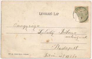 1906 Gödöllő, park részlet. Divald Károly 967. sz. (EB)