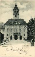 1900 Szeged, Városháza