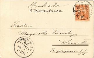 1900 Szeged, Városháza