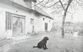 Wahorn András: Képek a vágyak és szenvedélyek világából. Kísérő szöveg: Keserű Katalin, fe Lugossy L...