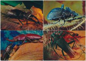 25 db MODERN motívum nyomtatvány: rovarok / 25 modern motive cards (non PC): insects
