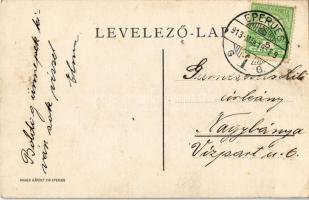 1913 Eperjes, Presov; Malomárok partja. Divald Károly fia / riverside by the mill