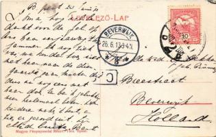 1913 Budapest XII. Farkas Villa. Art Nouveau, floral