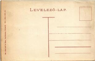 Kolozsvár, Cluj; Régi bástya, Streck József és Voith Tivadar üzlete / old castle tower, bastion, sho...