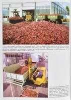 Romsics Imre: Kalocsai paprika anno... Paprika- és cégtörténet. Kalocsa, 2001, Kalocsa Paprika Rt. 2...