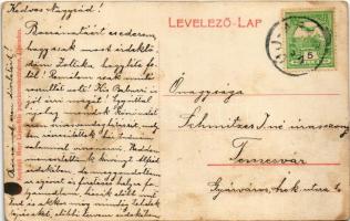 1909 Arad, Újarad, Aradul Nou; Rákóczi utca, Berthe György és Zimmer. üzlete. Mayr Lajos-féle kiadás...