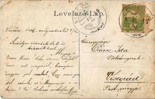 1906 Lozsád, Lozsádkistóti, Jeledinti; festőművész festményével / painter with his painting. photo (...