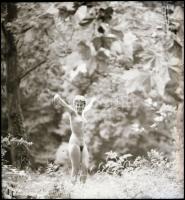 Szép formák, lágy mozdulatok kavalkádja, 7 db vintage NEGATÍV, Menesdorfer Lajos (1941-2005) budapes...