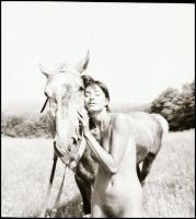 Lányok autóval, lóval, a ház tetején, stb... különböző időpontokban és eltérő helyszíneken készült 7...