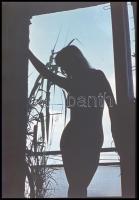 cca 1970 Czakó László (?-?) pécsi fotóművész hagyatékából 13 db vintage DIAPOZITÍV, 36x24 mm