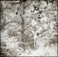 Az aktfényképezés a legjobb társasjáték, több fotómodell közreműködésével, eltérő időben és változó ...