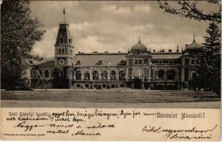1904 Mácsa, Macea; Gróf Károlyi kastély. Menczer és Jung kiadása / castle (fa)