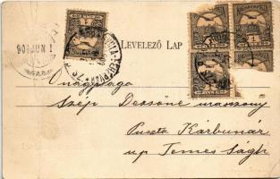 1904 Mácsa, Macea; Gróf Károlyi kastély. Menczer és Jung kiadása / castle (fa)