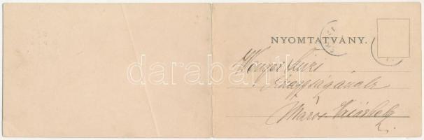 Borszék, Borsec; 2 részes kinyitható panorámalap / 2-tiled folding panoramacard (fa)