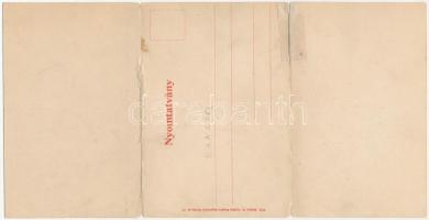 Brassó, Kronstadt, Brasov; 3 részes kinyitható panorámalap / vom Kreuzberg / 3-tiled folding panoram...