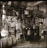 1979 Budapest, a Kőbányai Gyógyszergyárban készült fotóriport, publikálva a Brigádéletben, 11 db vin...