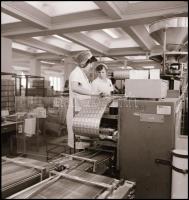 1979 Budapest, a Kőbányai Gyógyszergyárban készült fotóriport, publikálva a Brigádéletben, 11 db vin...