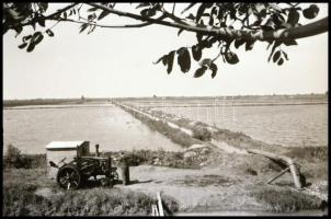 cca 1949 Traktorral hajtott szivattyú, Rózsa György (?-?) budapesti fotóriporter hagyatékából 4 db v...